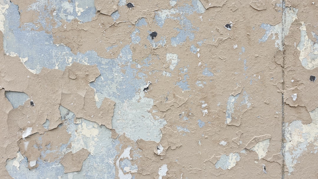 Jaki tynk wewnętrzny wybrać? Gipsowy, cementowy czy wapienno-cementowy?