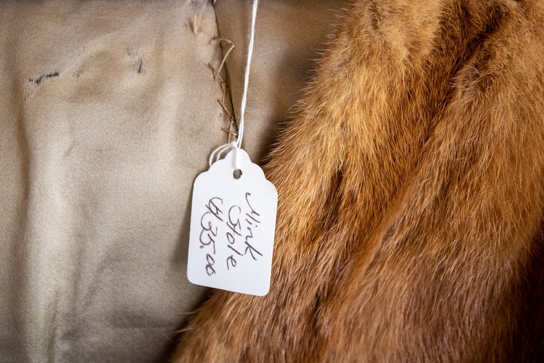 Gładź szpachlowa – jak wybrać odpowiednią?