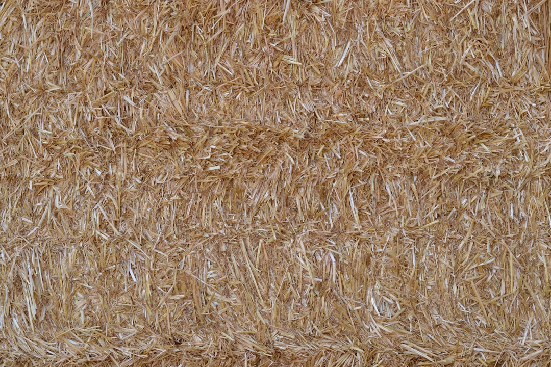 Klej do płytek na podłogę – jak wybrać i używać?