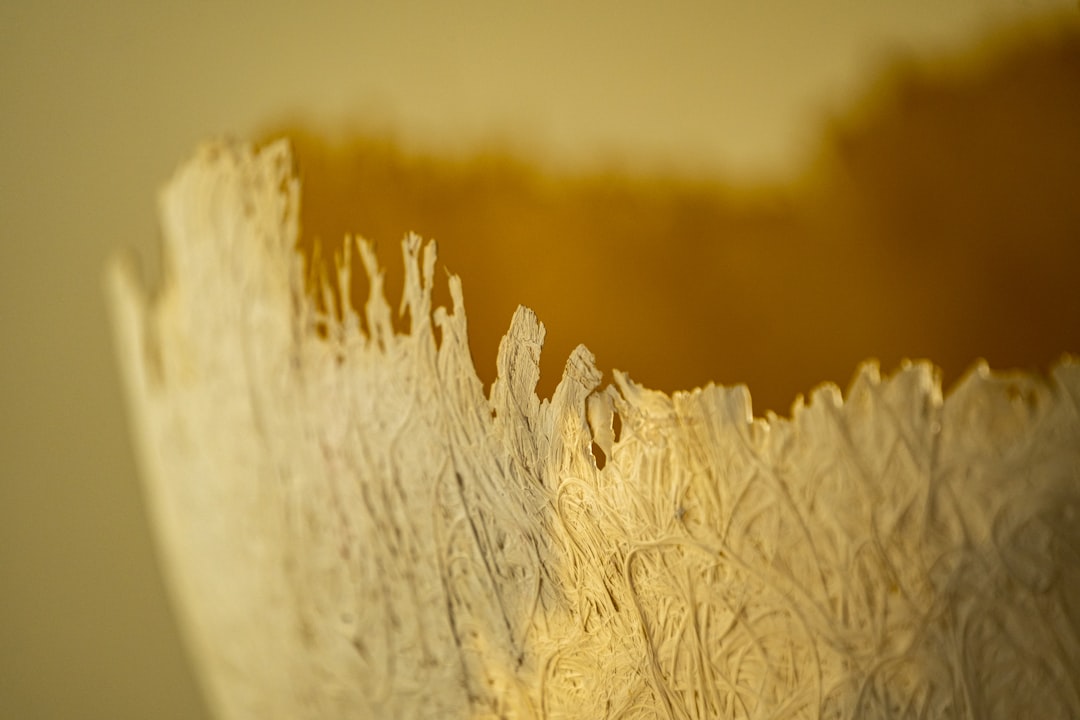 Układanie kostki brukowej – ile kosztuje z materiałem?