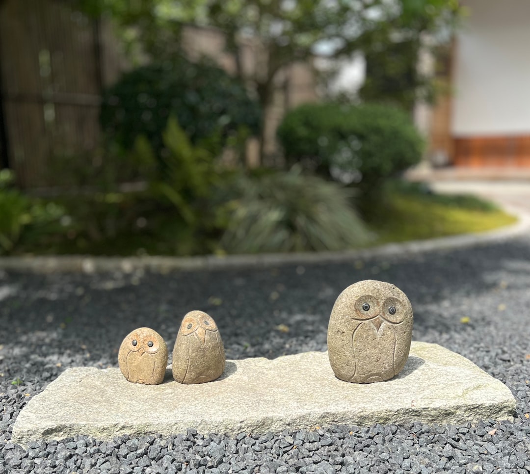 Koszt ocieplenia domu styropianem – analiza wydatków