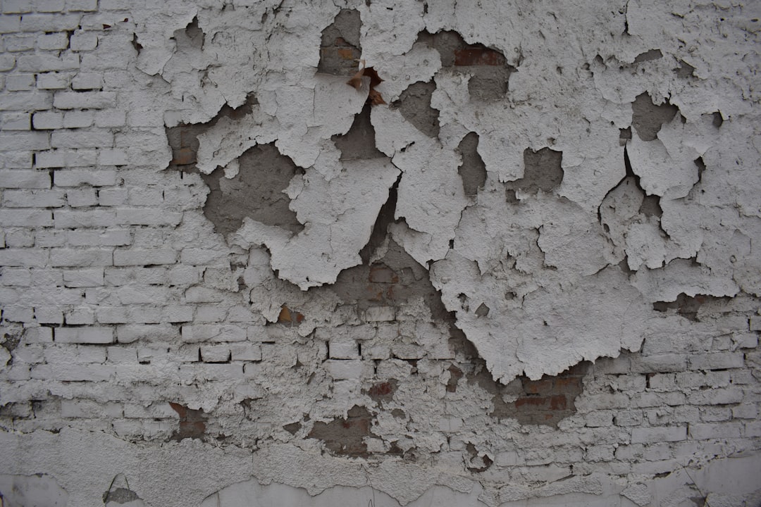 Cena kostki brukowej – od czego zależą koszty?