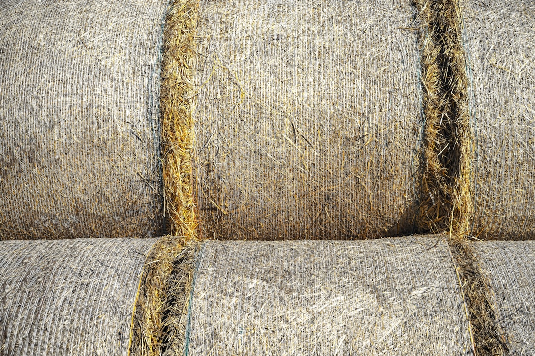 Jaki grunt pod malowanie ścian?