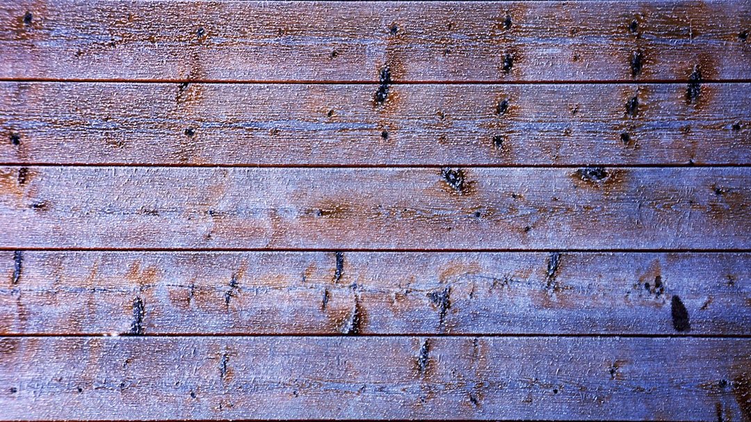 Tynk silikonowy czy mineralny – co wybrać na elewację?